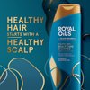 Head & Shoulders Royal Oils Moisturizing Shampoo, Anti Dandruff Treatment for Natural, Curly, and Coily Hair, with Coconut Oil and Apple Cider Vinegar, Sulfate, Paraben & Dye-Free, 12.8 Fl Oz