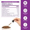 Special Breed L-Lysine for Cats & Kittens – Immune, Respiratory & Eye Health Support – Liquid Cat Supplement with Astragalus, Burdock, Atractylodes, Dangshen & Vitamins A, B1, B2, B6 – 4oz (120mL)