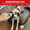 ucho Dog Toys for Aggressive Chewers, Dog Toy for Dogs, Interactive Chew Toys for Training and Cleaning Teeth (Champagne, Roses)