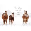 The Wise are not just men Belgian Horse Christmas Cards - 10 cards with white envelopes