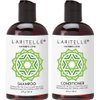 Laritelle Organic Travel Size Shampoo 2 oz + Travel Size Conditioner 2 oz | Organic Quinoa + Keratin + Follicle Stimulating Rosemary, Ginger & Grapefruit | NO GMO. Vegan
