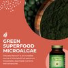 HealthForce SuperFoods Chlorella Manna - Powder - 100 Grams