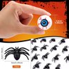 24 Pcs Halloween Eyeballs and 24 Pcs Realistic Plastic Spider Toys Halloween Scary Plastic Eyeballs Fake Spider Halloween Prank Props Small Size Funny for Halloween Decorations Gift