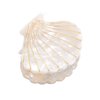 Shell Jaw Clip Hair Claw Clip Clamps Resin Hair Clips Marble Pattern Hairpins Hair Accessories for women Styling Hairdressing (White)
