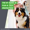 Frontline Plus for Dogs Medium Dog (23-44 pounds) Flea and Tick Treatment, 6 Doses