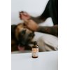 Punkin Butt Ear Oil for Cats & Dogs (1 oz bottle) bottle | Organic Garlic, Mullein and Calendula Ear Drops