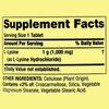 SPEC Lysine Amino Acid Supplements, 1 Tablet Per Serving,Spring Valley L-Lysine Supports a Healthy Immune System* 100 Count