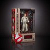Ghostbusters Plasma Series Ray Stantz Toy 6-Inch-Scale Collectible Classic 1984 Action Figure, Toys for Kids Ages 4 and Up