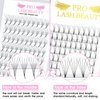 Premade Fans Eyelash Extensions 10D-C-0.07-10 Premade Volume Lash Extensions Pointed Base Fans 0.07 Premade Volume Fans C D Curl(10D-C-0.07,10mm)