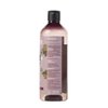 Itinera Smoothing Body Wash with Tuscan Red Grapes (12.51 fl oz) - with Aloe vera and Glycerine - Vegan Friendly - 95% Natural Origin Ingredients