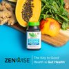 Zenwise Health Digestive Enzymes for Gut Health & Bloating Relief - Multi Enzymes Digestion Supplement with Probiotics, Bromelain & Papaya for Digestive Health Support - Men & Women - 100 Count