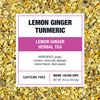 Tiesta Tea - Lemon Ginger Turmeric | Lemon Ginger Herbal Tea | Premium Loose Leaf Tea Blend | Non Caffeinated Herbal Tea | Make Hot or Iced Tea & Brews Up to 200 Cups - 16 Ounce Resealable Bulk Pouch