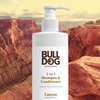 Bulldog Mens Skincare and Grooming 2-in-1 Shampoo and Conditioner, Canyon, 12 Fluid Ounces