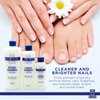 Blue Cross Cuticle Remover Liquid, Cuticle Softener for Nails, Professional Nail + Cuticle Care with Lanolin for Brittle Nails, Hang Nails, Hydrating, Moisturizing, Dry Cuticles, Made in USA, 6oz