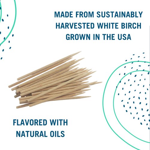 Preserve Flavored Toothpicks, Cinnamint, 35 Toothpicks, 1 Count