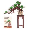 Rowood 3D Wooden Puzzles for Adults,DIY Pine Bonsai Tree Botanical Collection Building Set,Craft Kit Gift for Kids on Christmas Birthday ThanksgivingDay-Evergreen Pine Bonsai