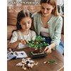 Muiurple Bonsai Tree Building Sets, Four Season Cherry Bonsai Tree Building Kit, Artificial Plant Decor for Home, Mother's Day Present for Her, Xmas Gifts for Adults Girls&Boys (493pcs)