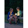 Enbrighten LED Mini Camping Lantern, Battery Powered, 200 Lumens, 40 Hour Runtime, 3 Modes, Night Light for Kids, Ideal for Hiking, Outdoors, Emergency, Snow, Hurricane and Storm