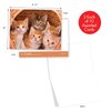 The Best Card Company - 20 Adorable Cat Greeting Cards (4 x 5.12 Inch) - Blank Assortment (10 Designs, 2 Each) - Litters Letters AM7058OCB-B2x10