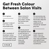 dpHUE Root Touch-Up Kit, Light Brown - Permanent Hair Color for Gray Coverage - Includes Two Applications - Paraben, SLS & SLES Sulfate Free - Leaping Bunny Certified