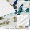 TANOFAR Baby Blankets, Adventure Mountains Minky Toddler Blanket for Boys Girls, Dotted Backing, Double Layer, Crib Receiving Blanket, for Nursery/Stroller/Toddler Bed/Carseat, 30 x 40 Inch