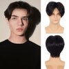 Tseses Black Short Wigs for Men Straight Layered Natural Middle Part Hair Heat Resistant Halloween Synthetic Wigs for Daily Cosplay Use（Black）