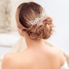 Hermoli Flower Wedding Pearl Hair Comb Silver Crystal Bridal Hair Clip Rhinestone Headpieces for Women (Silver)