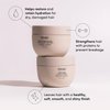 OUAI Travel Kit - Includes Travel Size Leave In Conditioner, Detox Shampoo, Fine to Medium Hair Mask, Scalp & Body Scrub - Travel Size Stocking Stuffers for Women (4 Count)