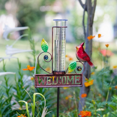 Stargarden Rain Gauge Outdoor, Metal Cardinal Rain Gauge, Rain Gauges with 7inch Plastic Tube, Decorative Rain Gauge for Yard, Garden, Lawn, Pathway
