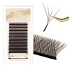 NATUHANA W Shaped Clover Eyelash Extension 4D Premade Fans 0.07mm L Curl 8-14 Mixed Tray Volume Lash Cluster W Lashes Supplies Lash Extensions (4D brown;0.07 L, 8-14 MIX)