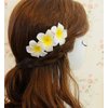 Hustar 10 Pcs 5CM Artificial Hawaiian Plumeria Flower Hair Clips Hair Accessories for Beach Fancy Dress