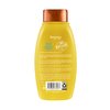 Aveeno Sunflower Oil Blend Conditioner, for Dry Damaged Hair, Dye, Paraben & Sulfate Surfactants Free, 12oz
