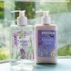 Heathcote & Ivory Lavender Fields Hand & Body Wash 8.45oz