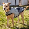DOGHELIOS 'Lotus-Rusher' Waterproof 2-in-1 Pet Dog Jacket Coat with Removable Polar Fleece Lining w/ Blackshark technology, X-Small, Grey, Black