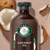 Herbal Essences Coconut Oil Hydrating Shampoo, 13.5 Fl Oz, with Certified Camellia Oil and Aloe Vera, For All Hair Types, Especially Dry Hair