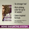 Schwarzkopf Keratin Blonde Hair Dye Almond Blonde 11.1, Hi-Lift Permanent Color, 1 Application - Hair Color Enriched with Keratin, Lightens up to 4 Levels and Protects Hair from Breakage*
