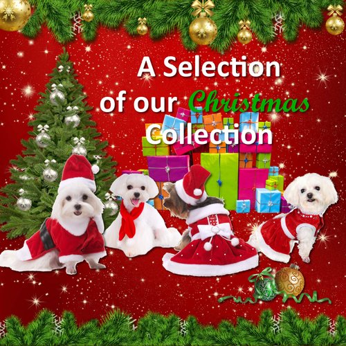 Pooch Outfitters Dog Christmas Outfit Collection | Tie, Bow Tie, Scarf, Collar Slider, Dress, Coat, Pajamas and Hat – Great for Family Xmas Card Photos