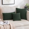 MIULEE Pack of 2 Pillow Covers 18 x 18 Inch Dark Green Super Soft Corduroy Decorative Throw Pillows Couch Home Decor for Spring Cushion Sofa Bedroom Living Room