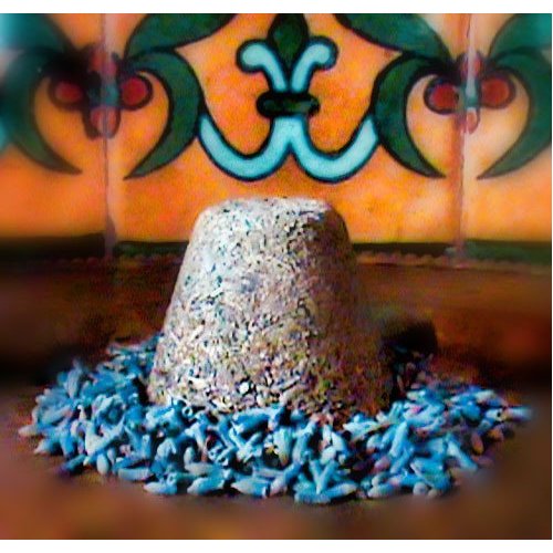 Herbes de Provence Seasoning from the European Collection by Merchant Spice Co.