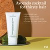 Eva + Avo Leave In Conditioner Cream, 6 Fl Oz - Hydrating Hair Treatment with Avocado and Rosemary for All Hair Types - Paraben and Sulfate-Free Leave In Hair Conditioner - 1-Pack