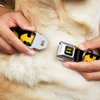 Buckle-Down Seatbelt Buckle Dog Collar - Bat Signal-1 Black/Yellow - 1" Wide - Fits 9-15" Neck - Small
