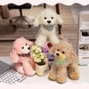 Ruzucoda Plush Poodle Dog Puppy Stuffed Animals Toys Dolls Kids Gifts 9 Inches (White)
