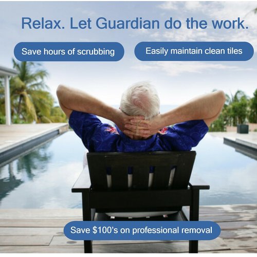 Calcium Build Up & Scum Line Remover- Guardian Pool Tile Cleaner, 2 qts. - Non-abrasive, Save Elbow Grease, 32 Fl Oz (Pack of 2)