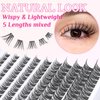 SLSXNL Lash Clusters Eyelash Extensions,D Curl 8-16MM Natural Eyelash Clusters,Wispy Cluster Lashes 8mm 10mm 12mm 14mm 16mm 120pcs Thin Band False Eyelashes
