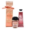 Bath and Body Champagne Toast Travel Gift Set - Hand Gel and Hand Cream Arranged Inside a Small Festive Gift Box