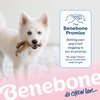 Benebone Puppy Wishbone Dog Chew Toy, Made in USA, Real Bacon Flavor, Small