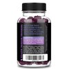 Zeal Naturals Sambucus Elderberry Gummies + Zinc + Vitamin C - Daily Supplement for Children & Adults - Easy to Chew Vitamin Gummies - 100 mg Max Serving of Elderberry - 60 Count