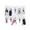 iZer Key Rack with Labels, Permanent Marker & Mount Tape. Holds 10 Keys with Stainless Steel Hooks. Acrylic Key Holder & Organizer