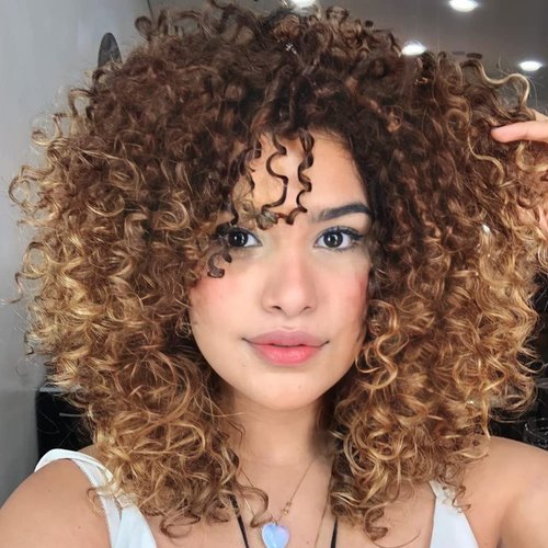 Curly Wigs for Women, 14 Inches Soft Curly Afro wigs With Bangs, Synthetic Curly Wigs, Curly Full Wig for Women(27/33 Brown Mixed Blonde)