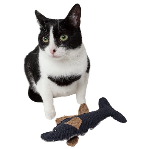 Pet Life ® Durable Fish Plush Kitty Catnip Cat Toy